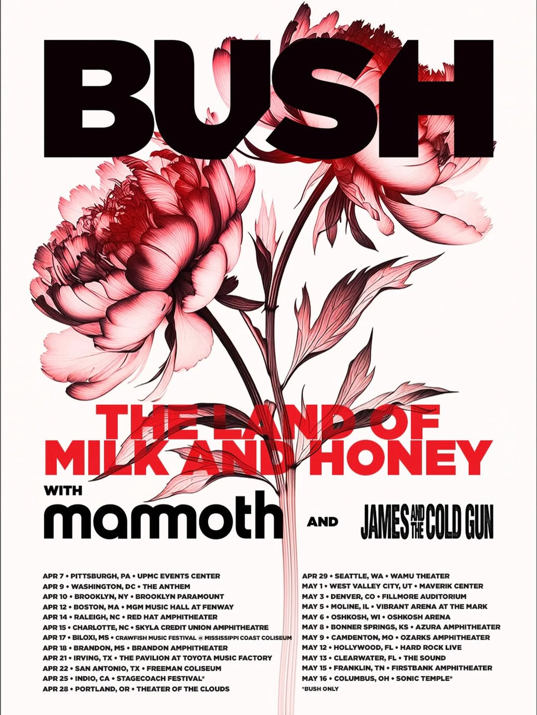 Mammoth The End Tour Poster 2026